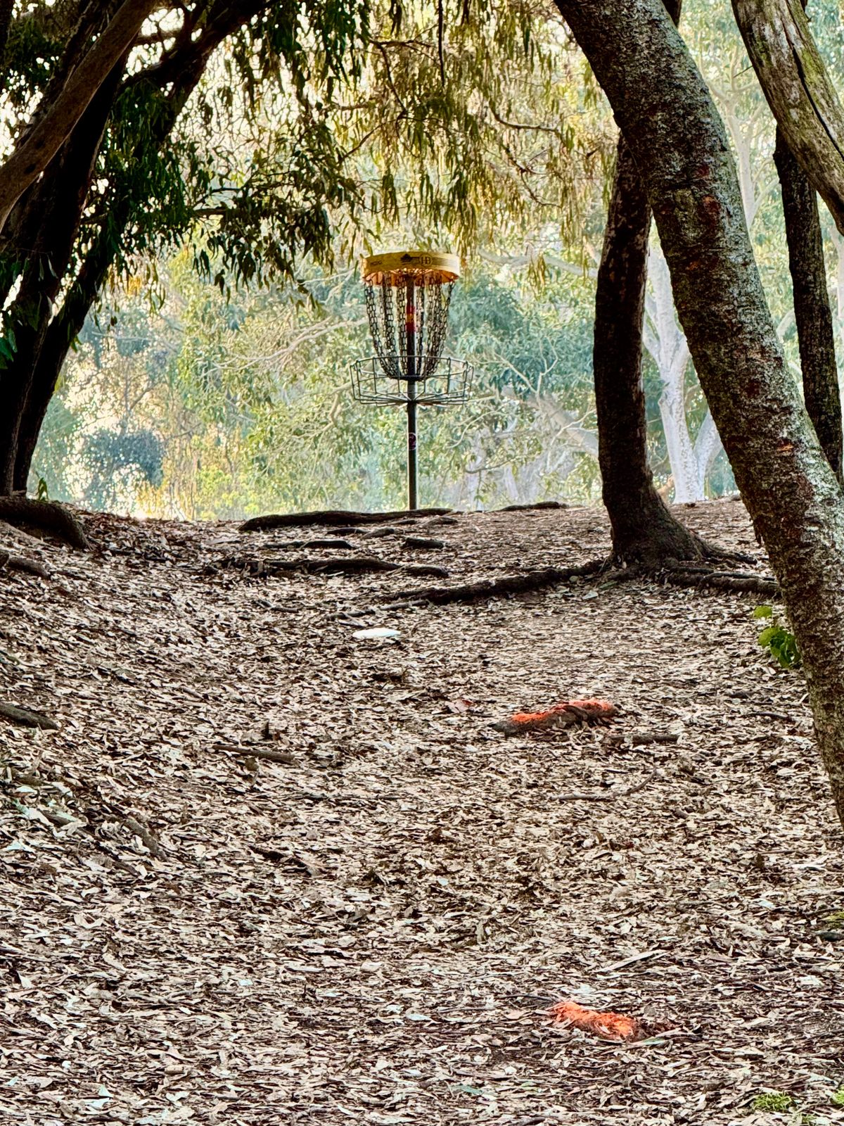 Uphill, Hyzer, Gap Shot
