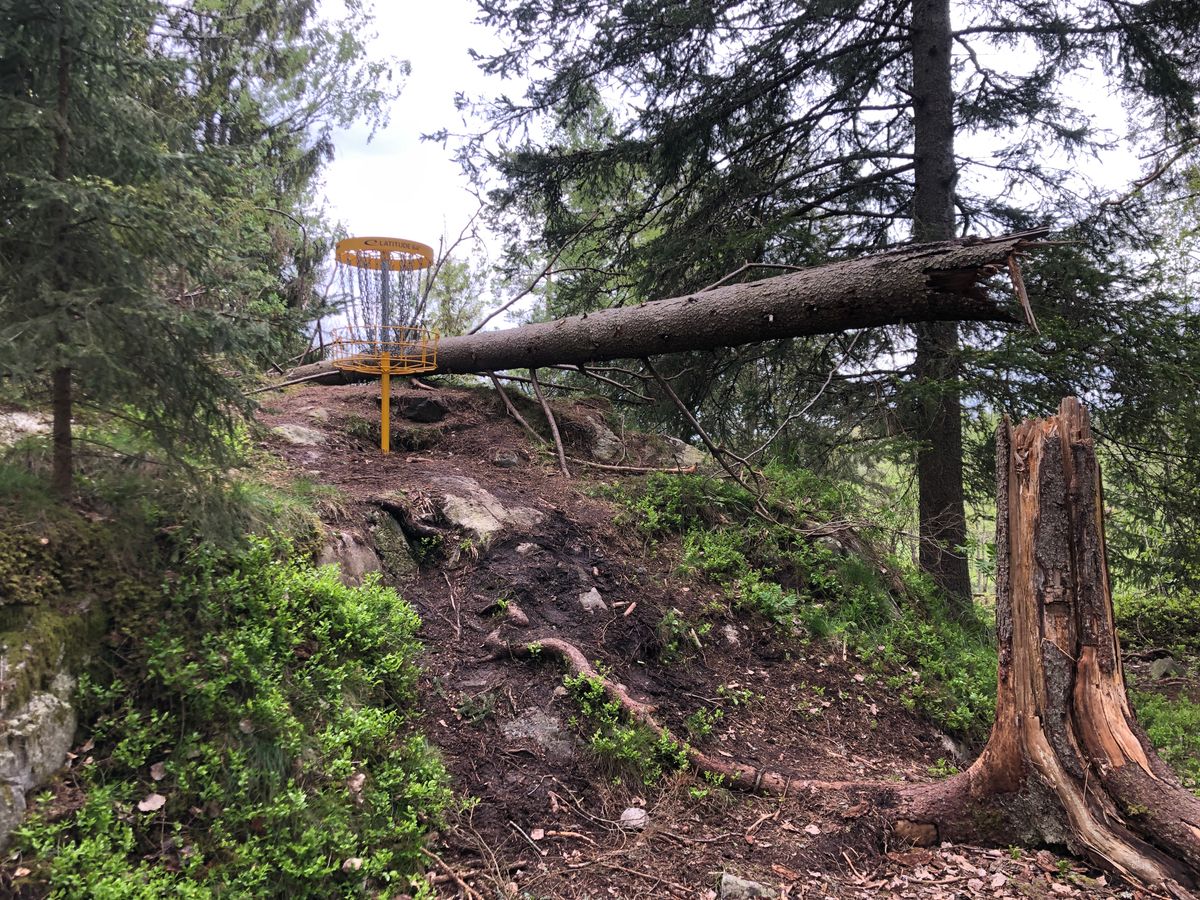 Hole 6