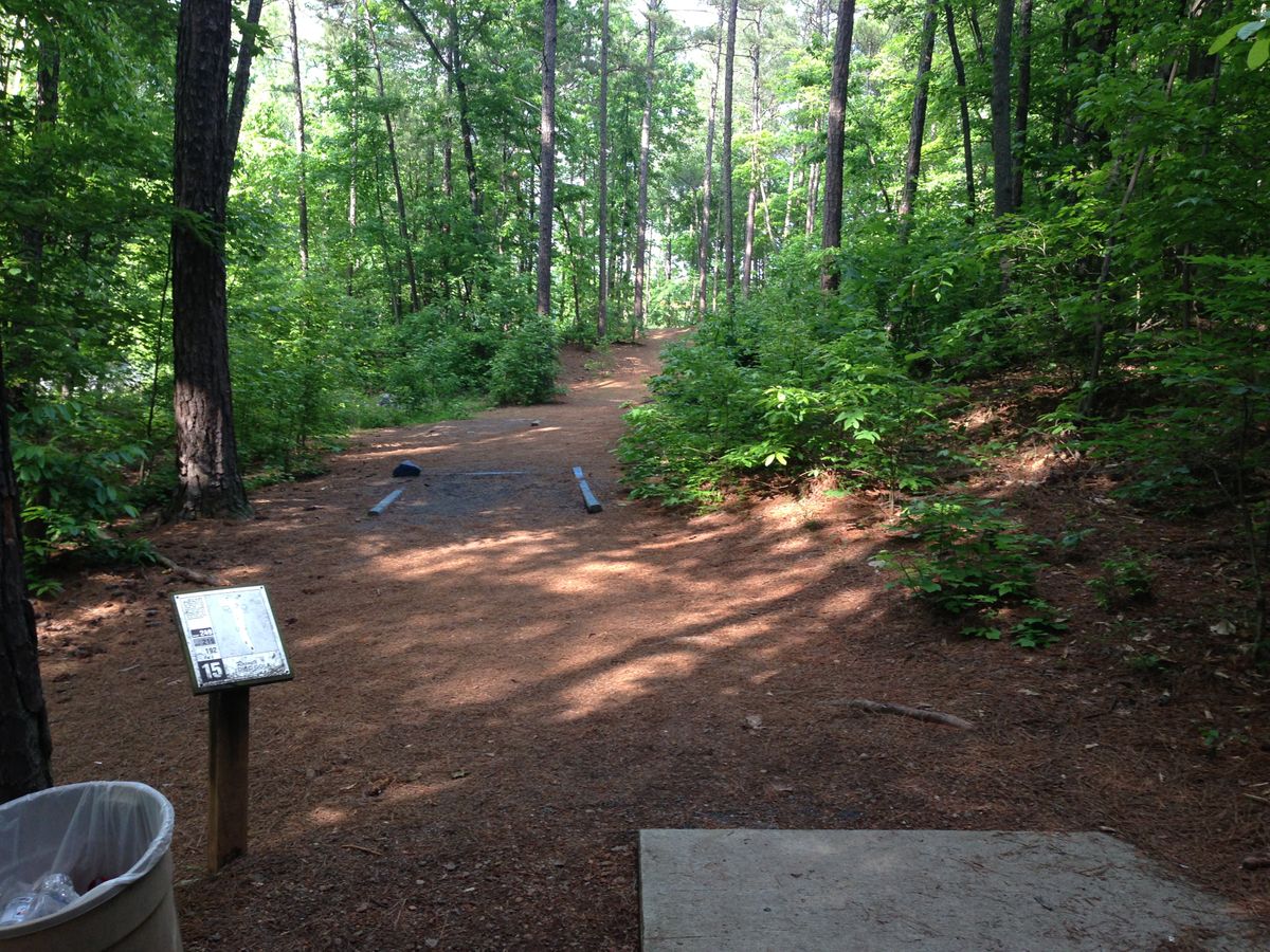 Hole 15 -- long tee