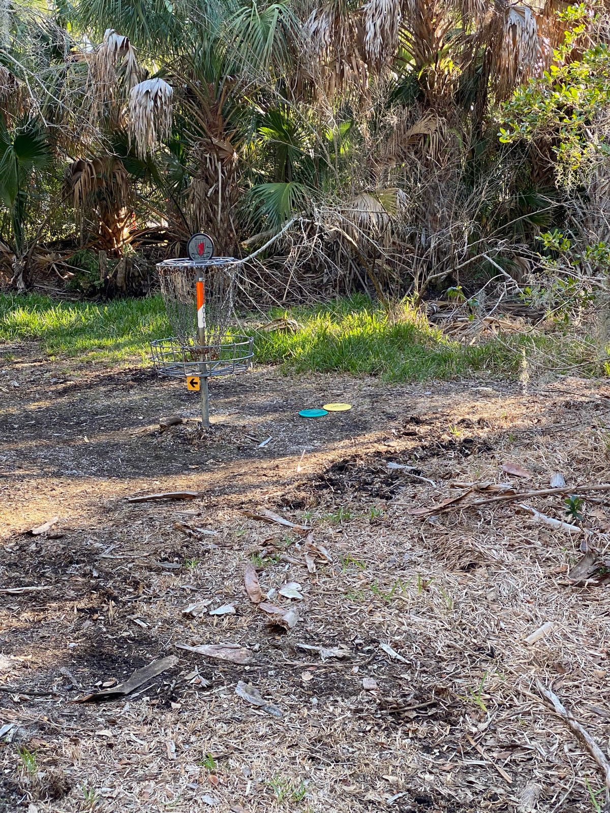 Making minis 🥏 LOVE you BuhBay #discgolf #hammockparkdgc