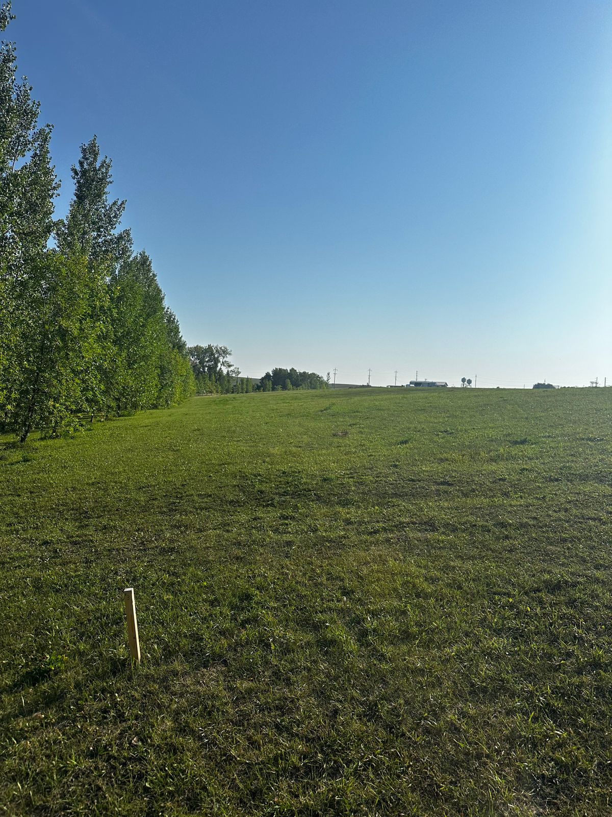 Hole 3