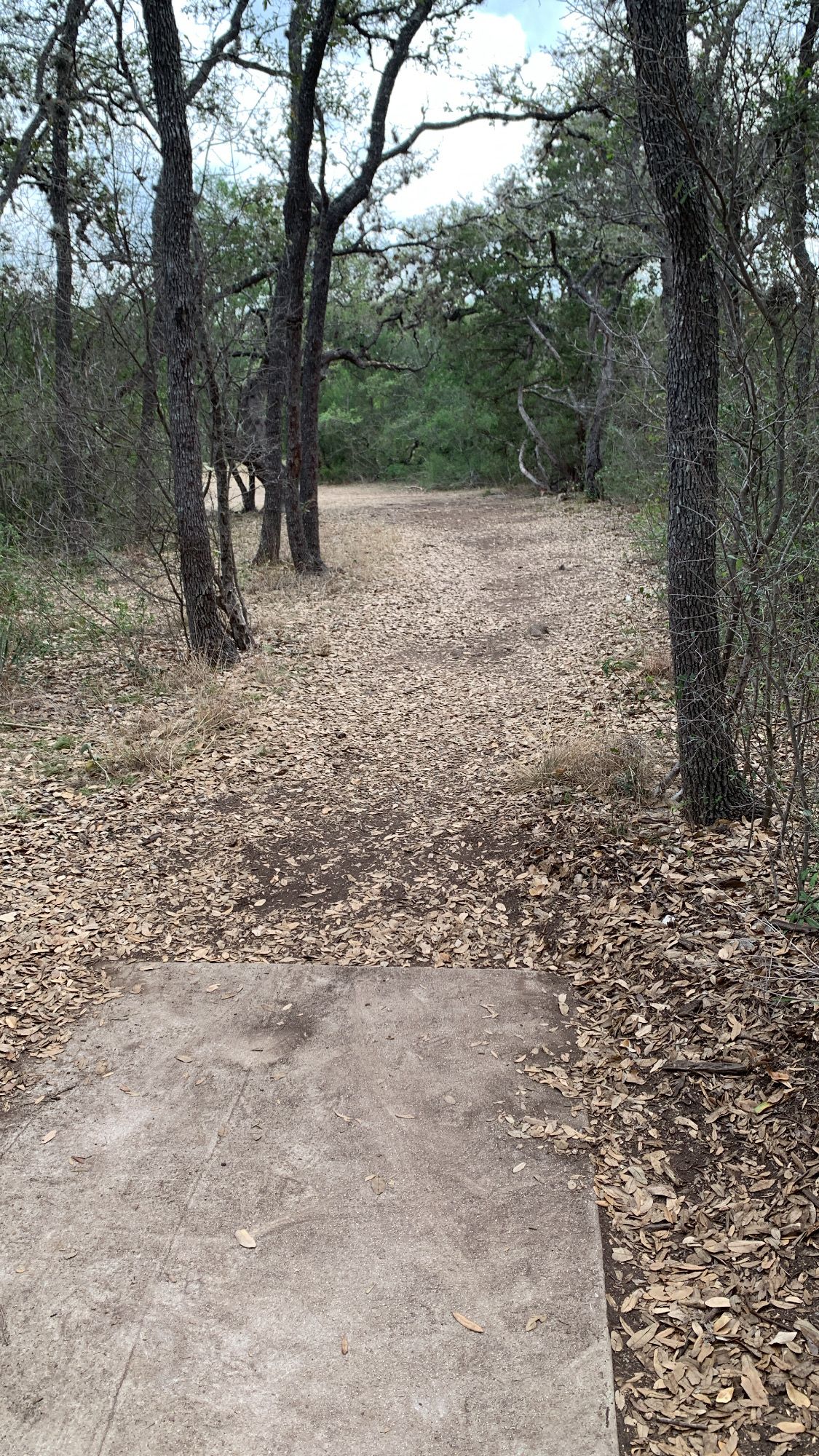 Hole 4