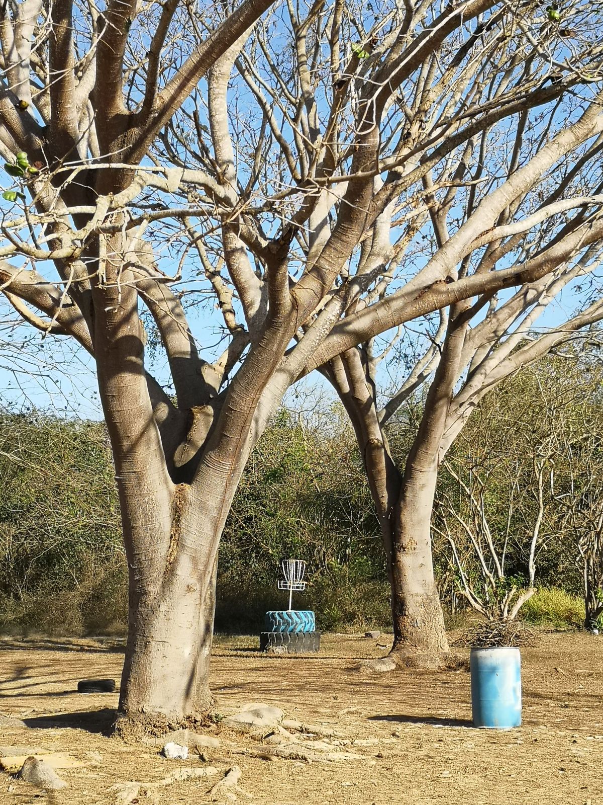Hole 2 Basket