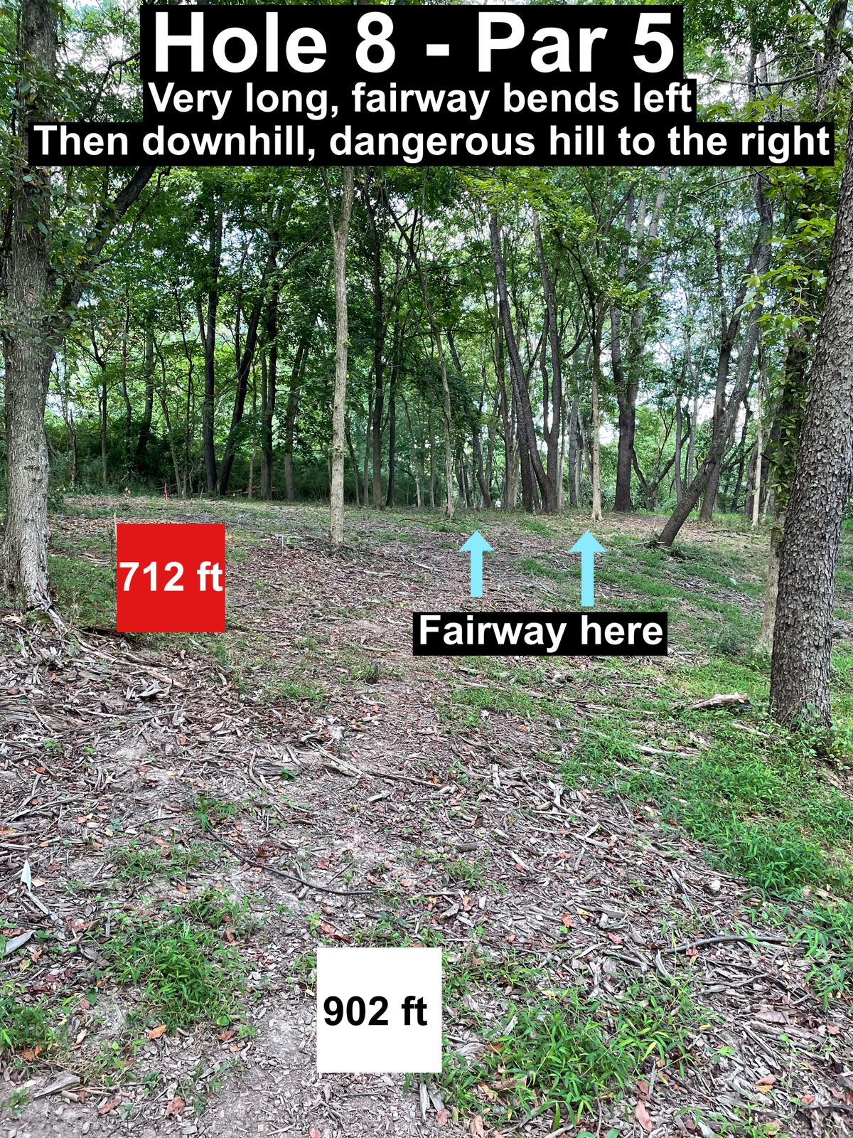 Hole 8 par 5