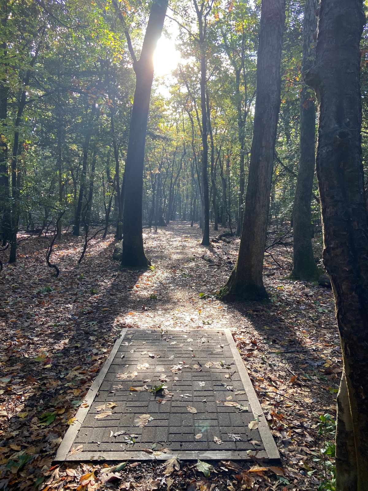 Hole 10 - Short Tee