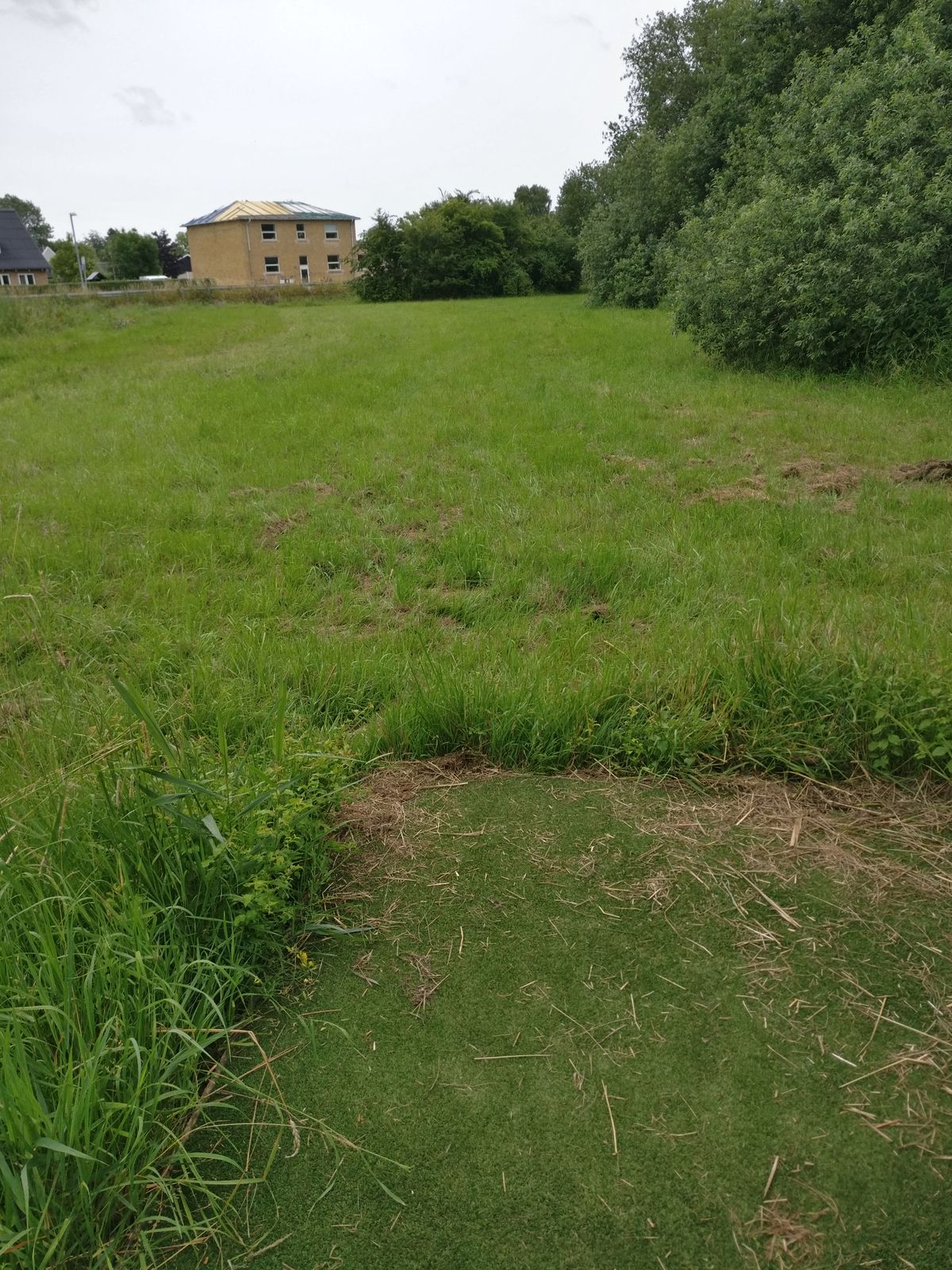 Hole 9
