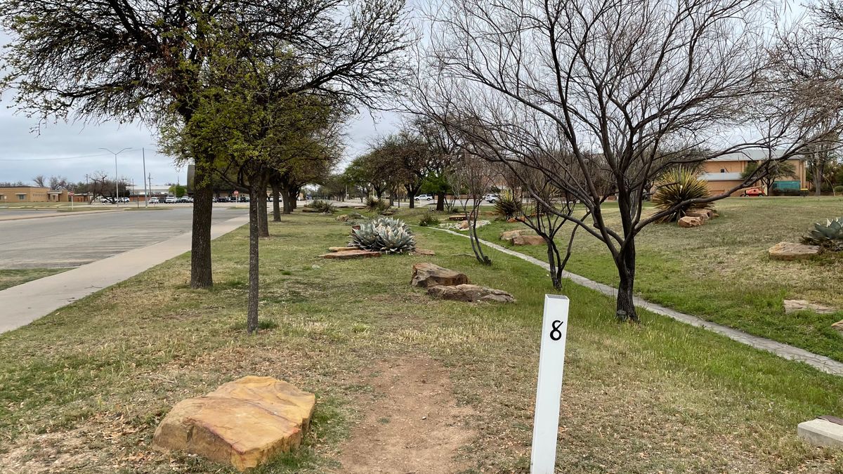 Hole 8