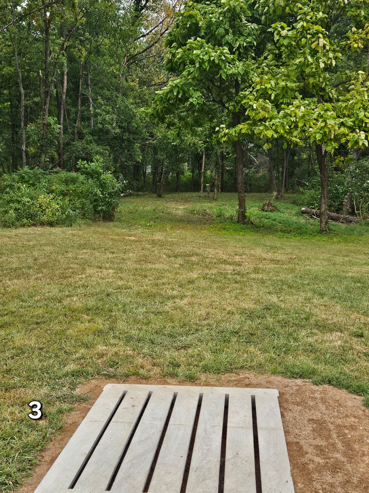 Hole 3