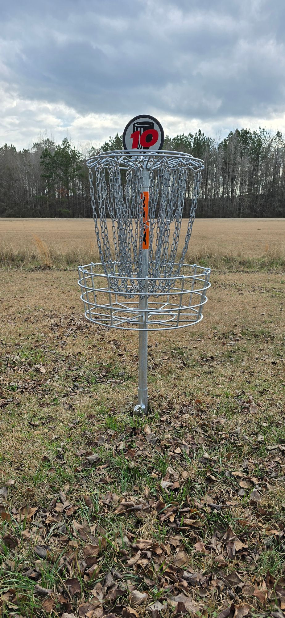 Hole 10 basket.