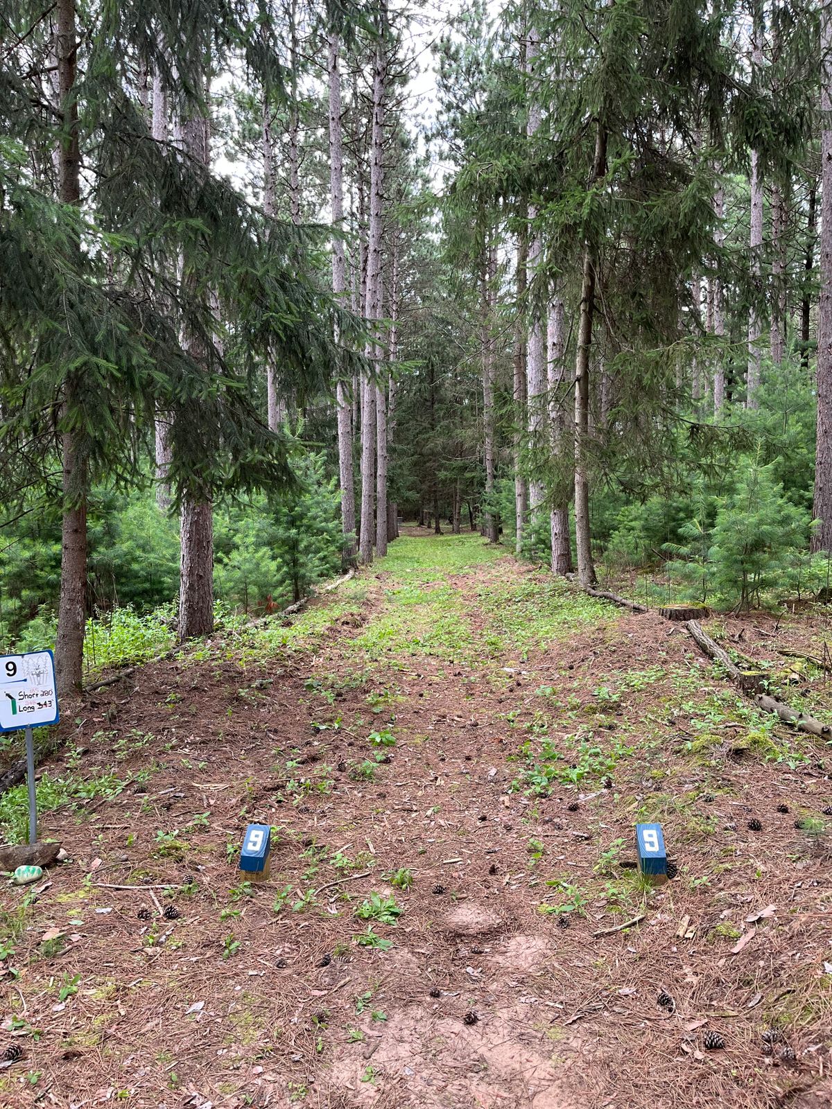 Hole 9 long tee