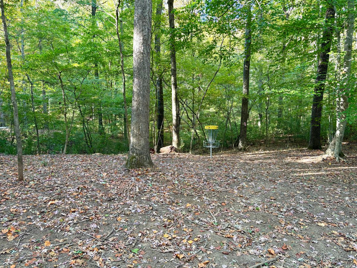 Hole 7 approach