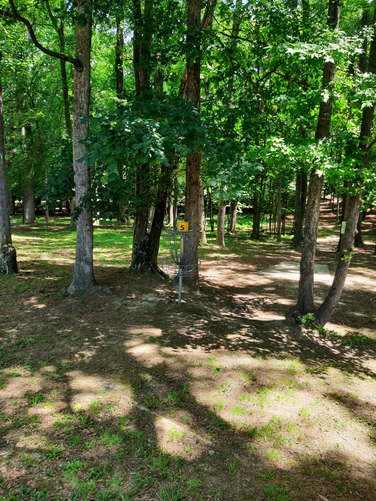 Hole 5 Basket