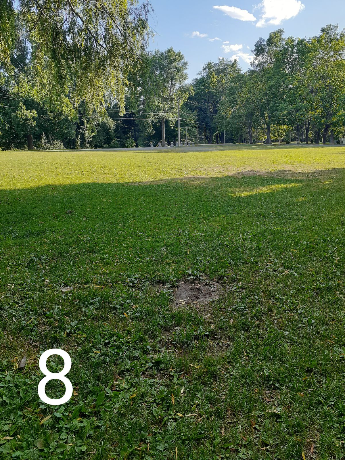 Start 8