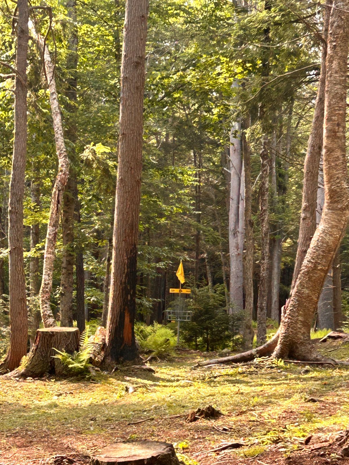 Hole 8 approach