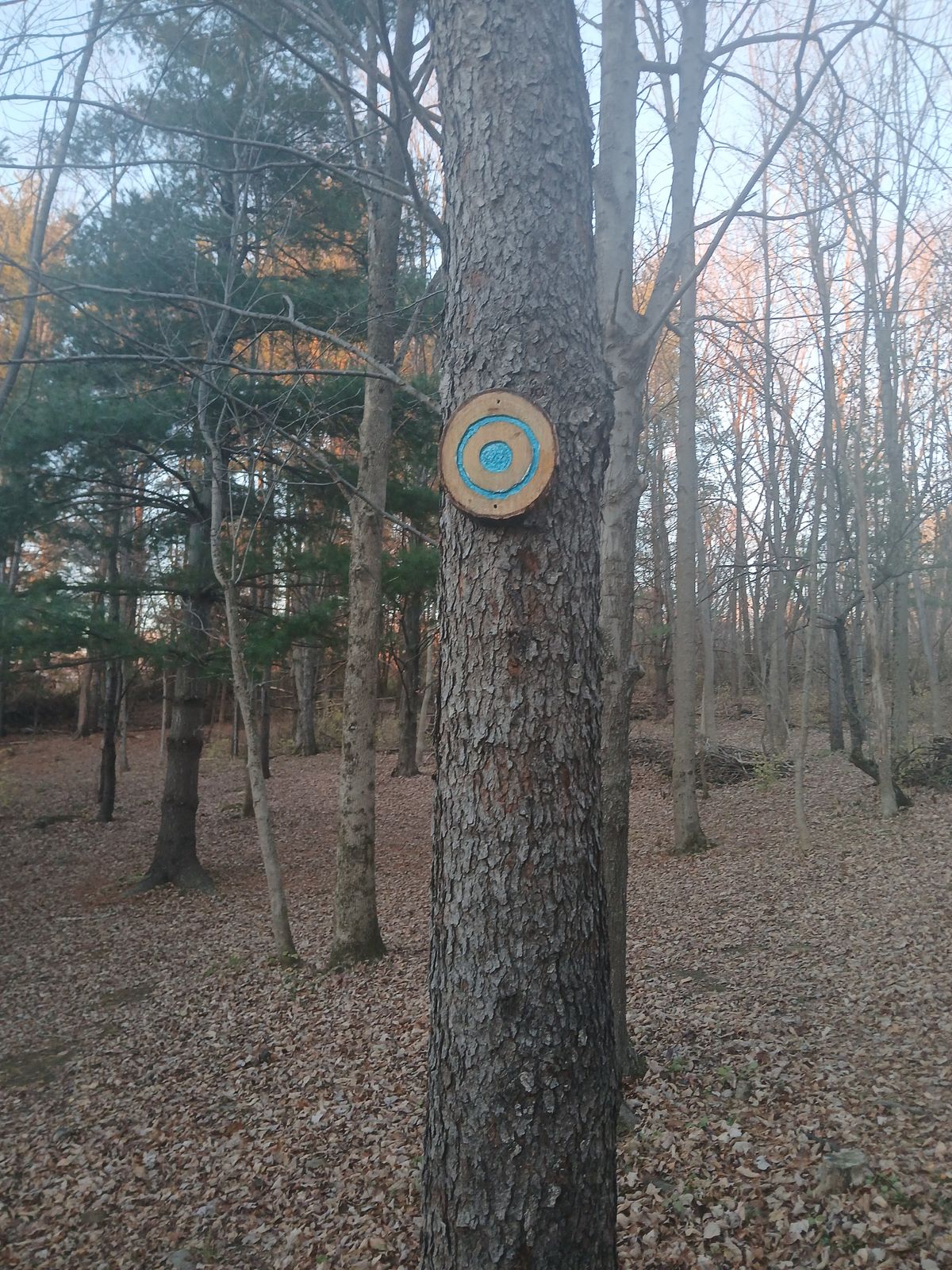 Upper Fairway 