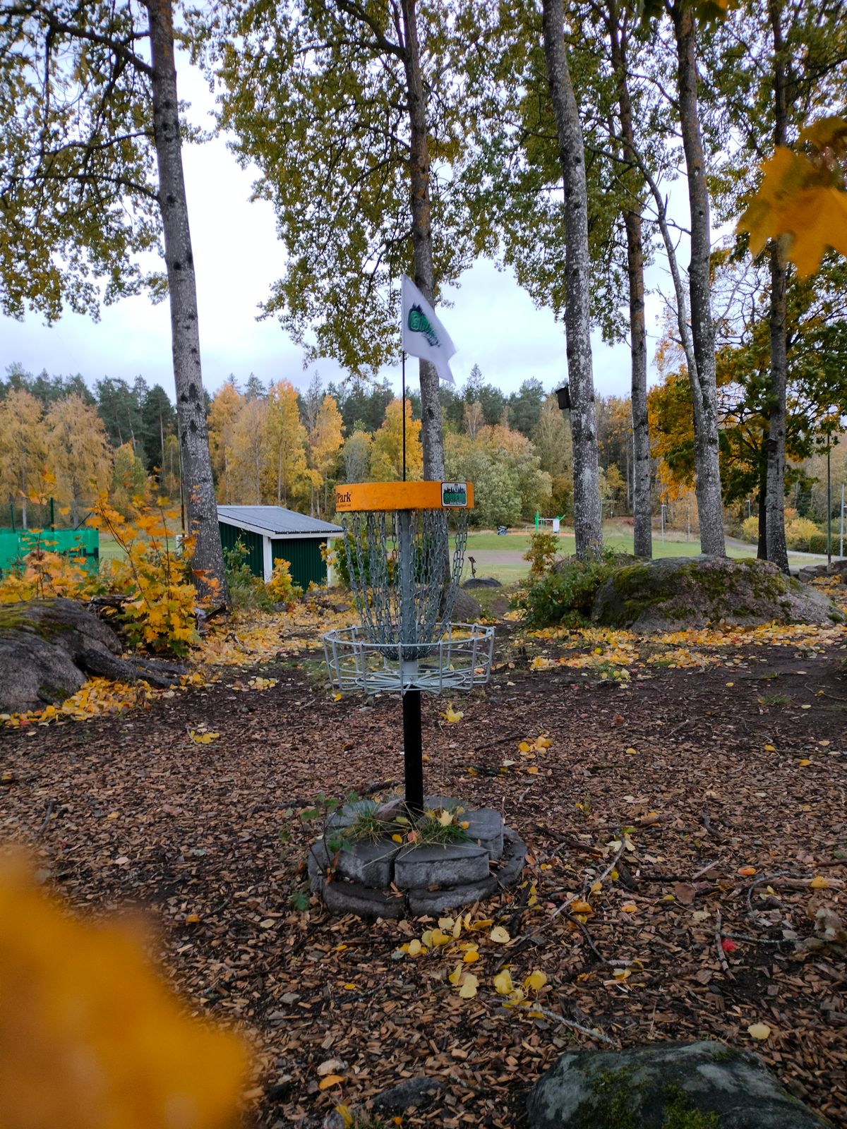 Hål 12 Korg | Basket Hole 12