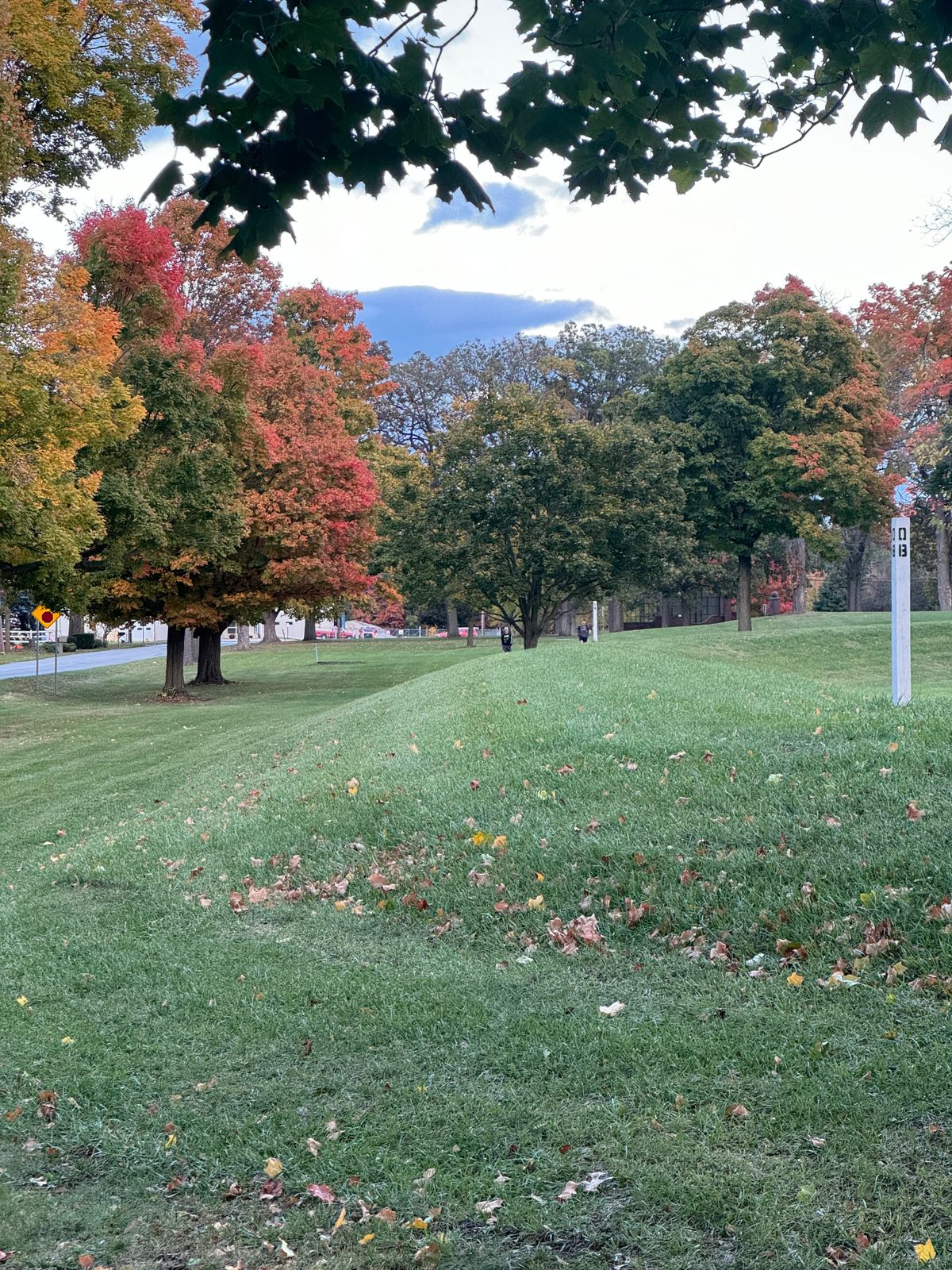 5 Fairway (looking back from Green/Putting Area)