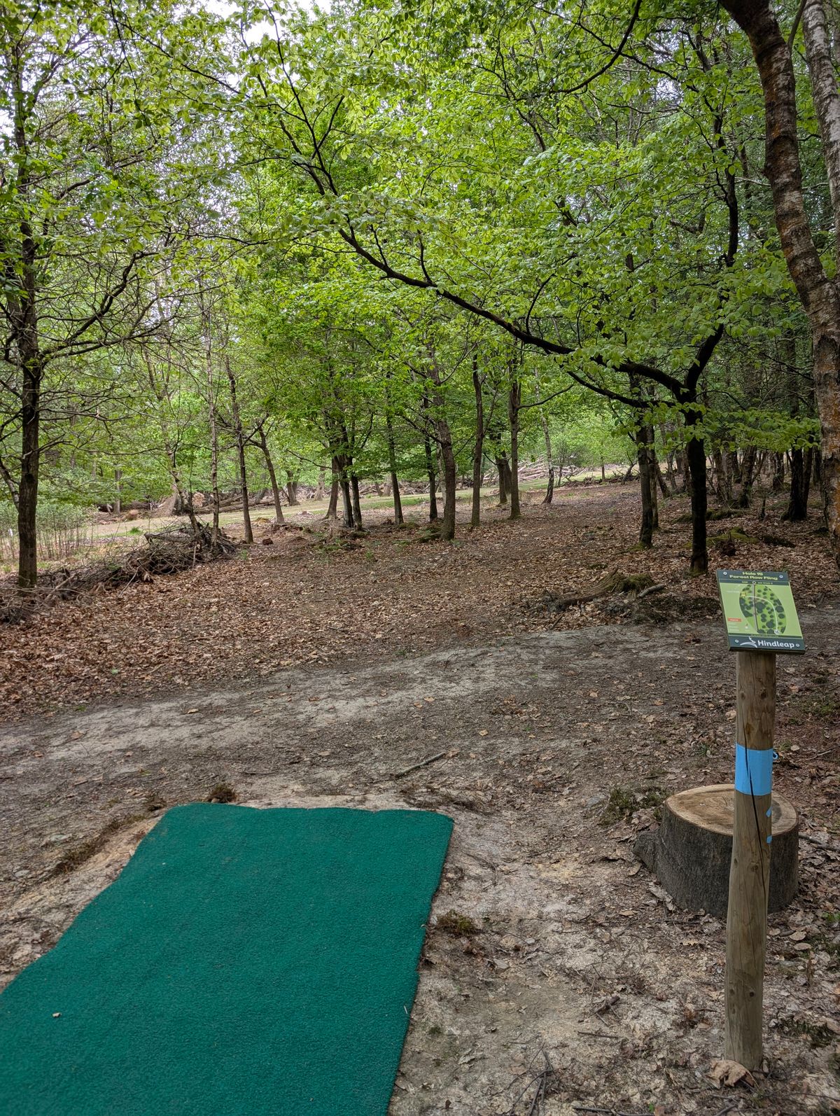 Hole 15 teepad blue