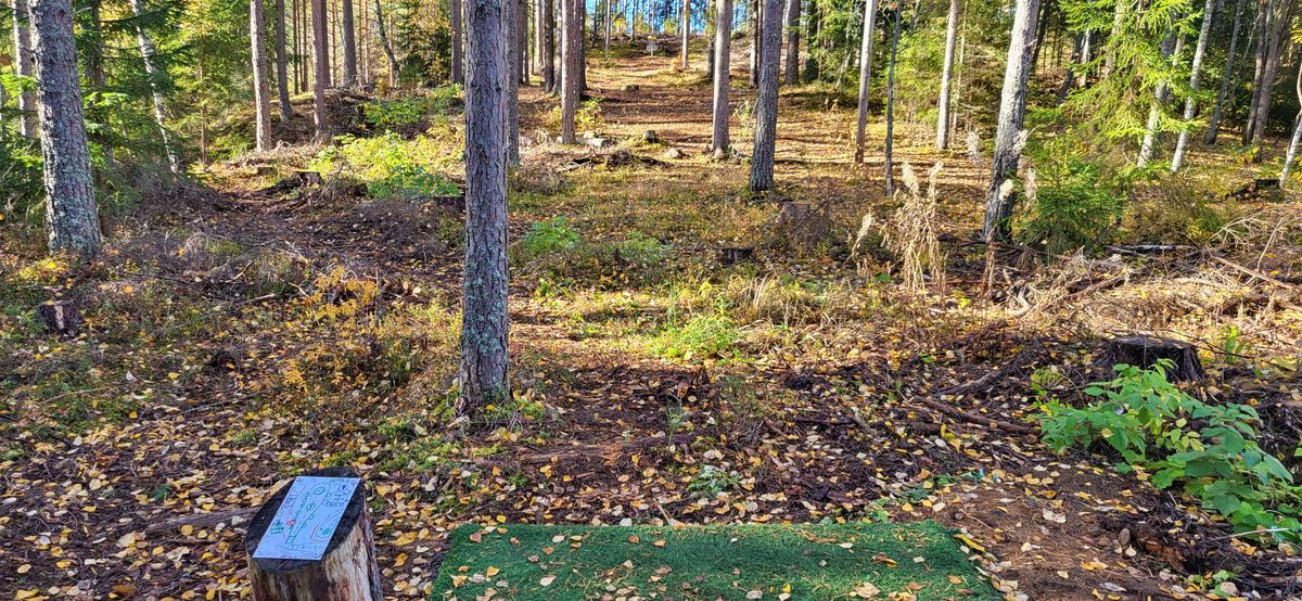 Väylä #1: 66m, +8m korkeuseroa