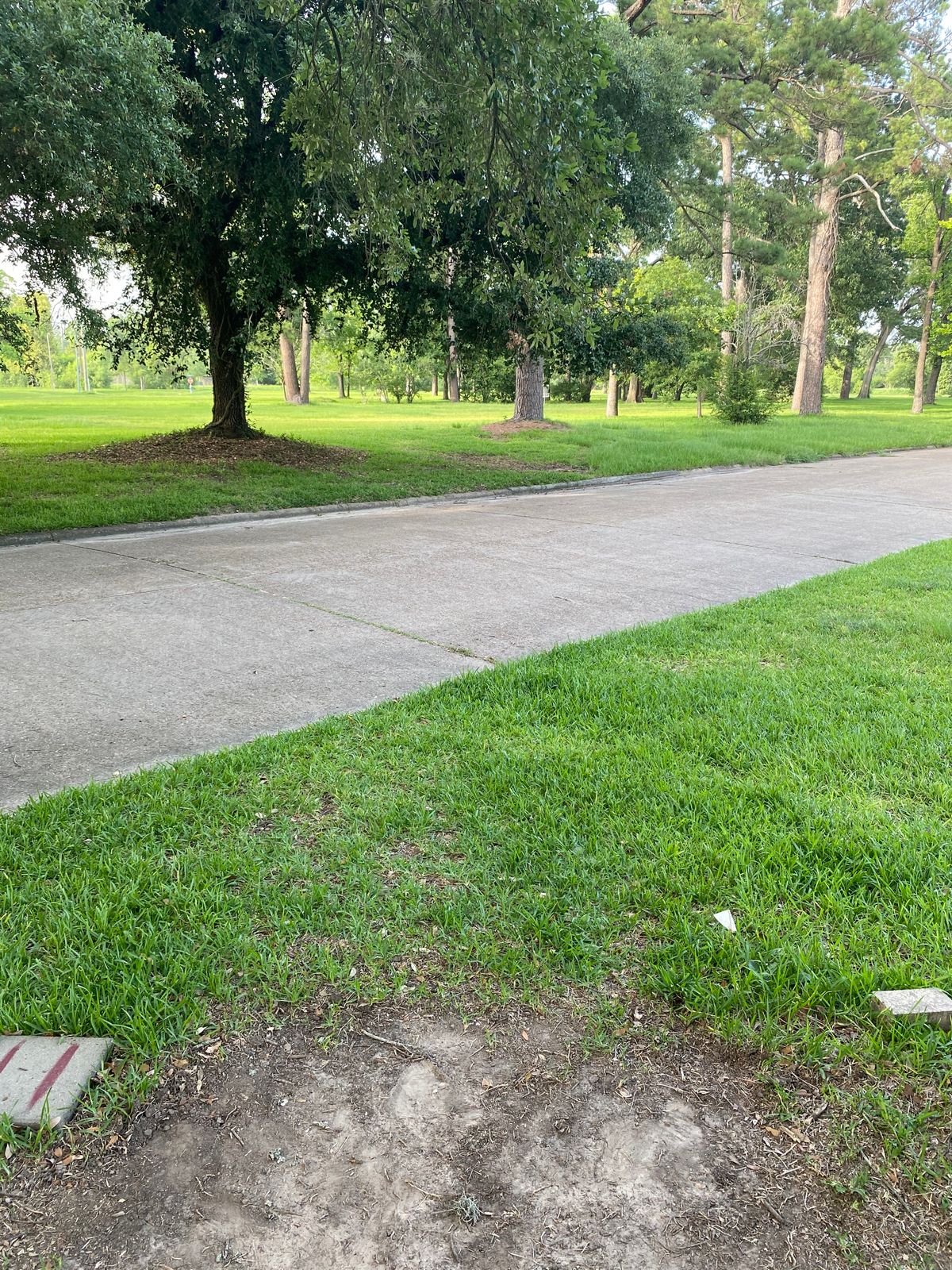 Hole 11