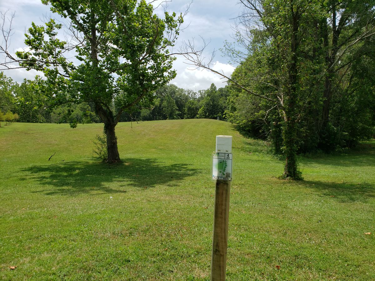 #4 Amateur Tee Sign Sign facing Fairway.