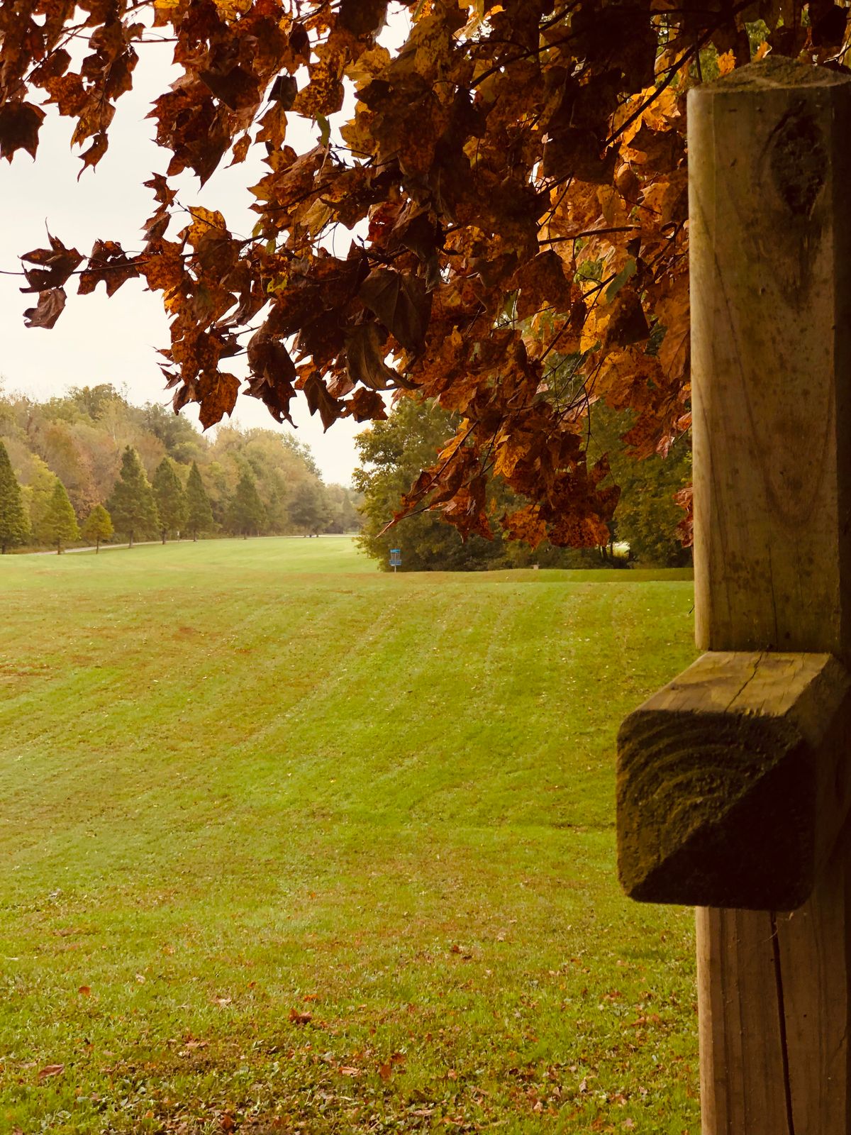 Hole 16