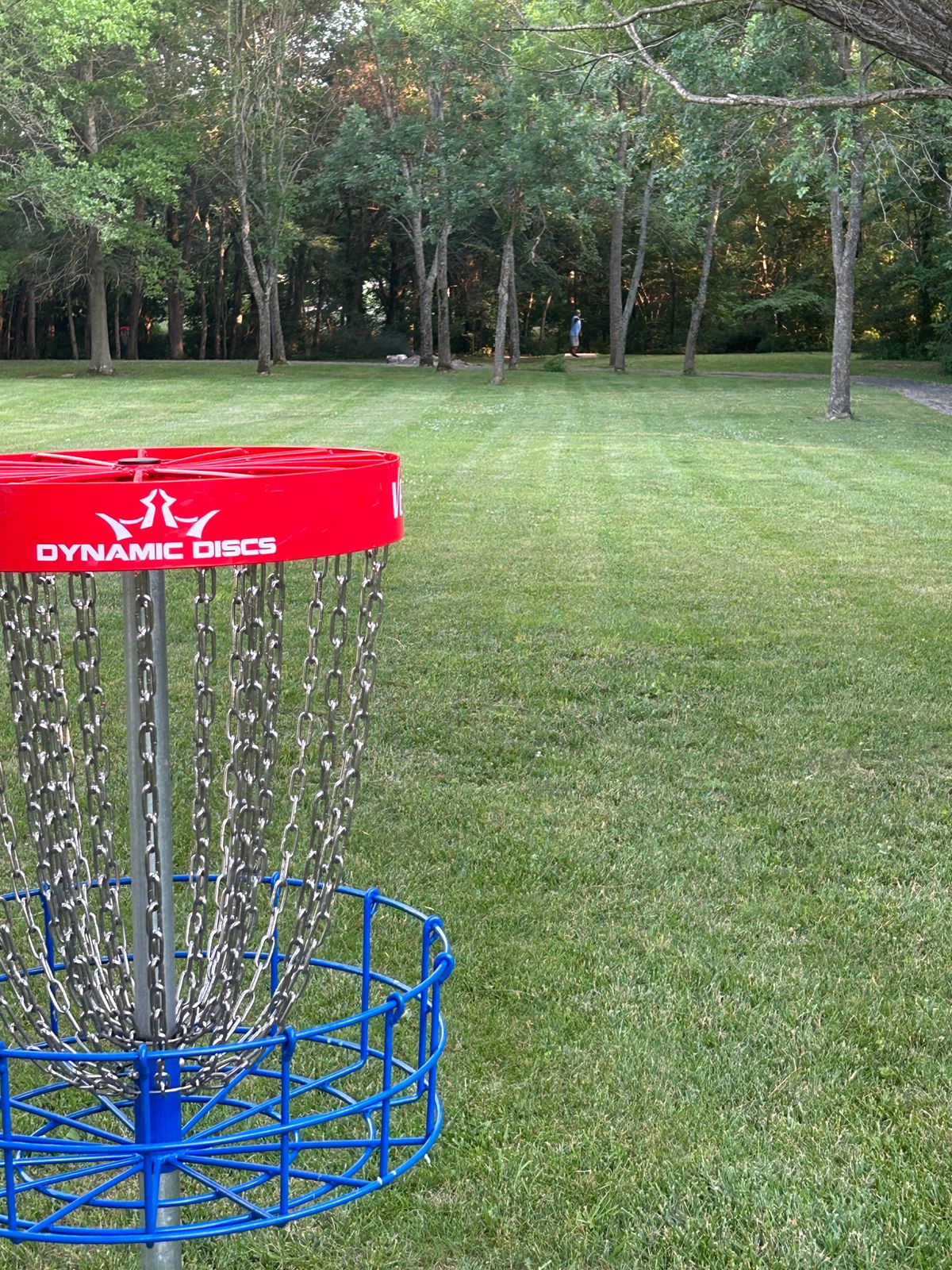Hole #16 basket look down to tee pad