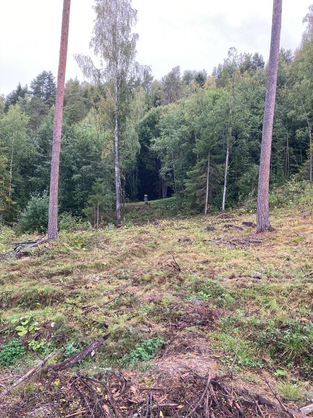 Hull 18 utsikt mot kurv