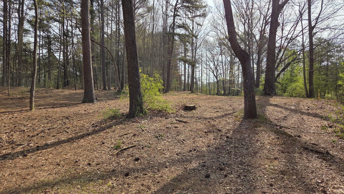 Fairway to 10 Gold Basket