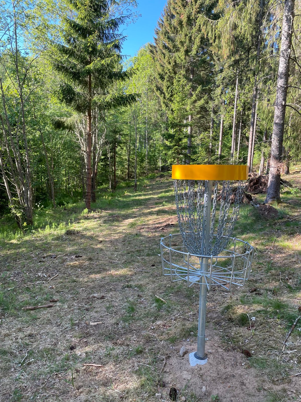 2:ans fairway ifrån korg.