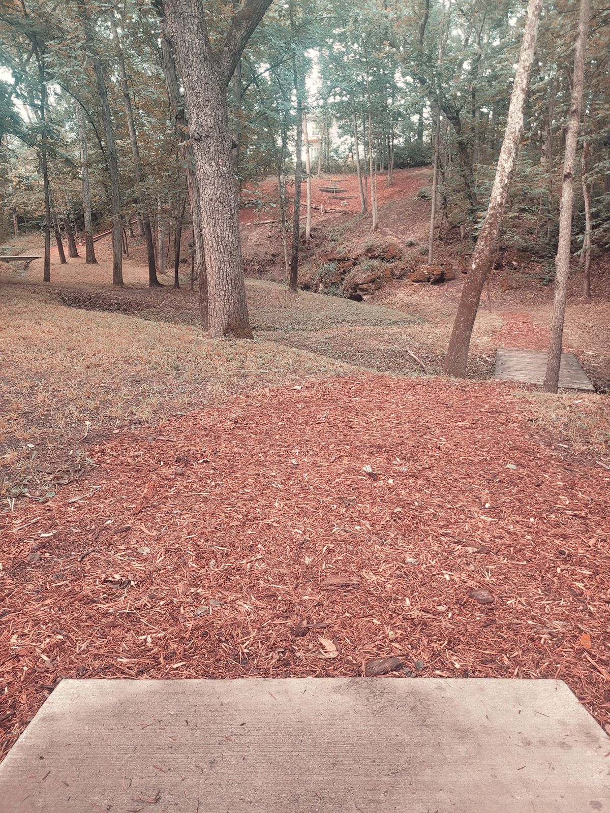 Hole 8 - White/Blue Tee