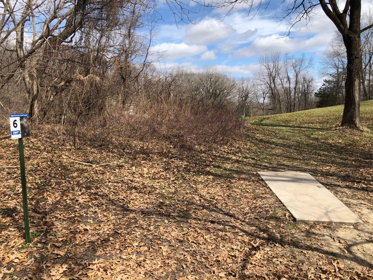Hole 6 tee