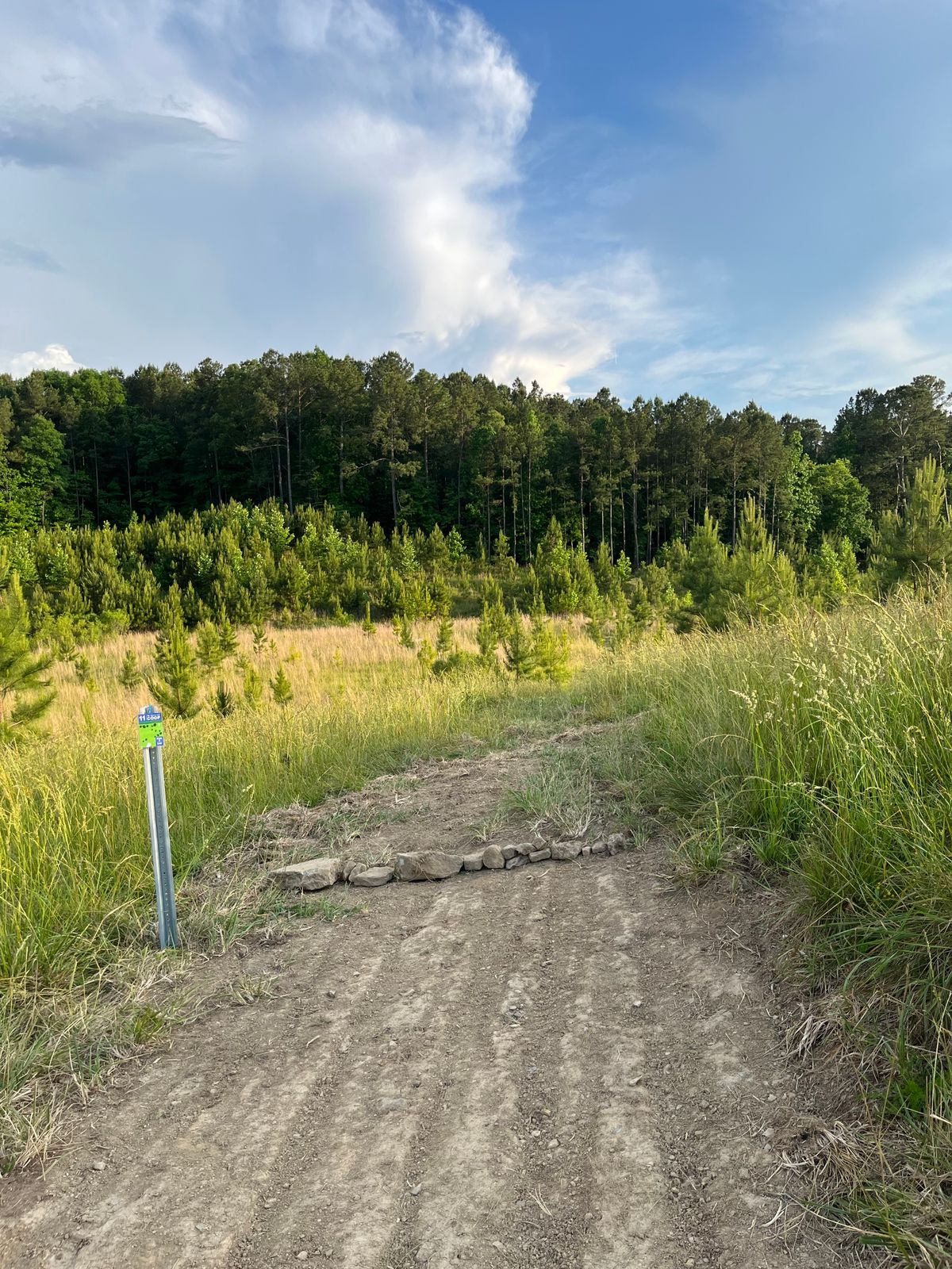 Hole 11