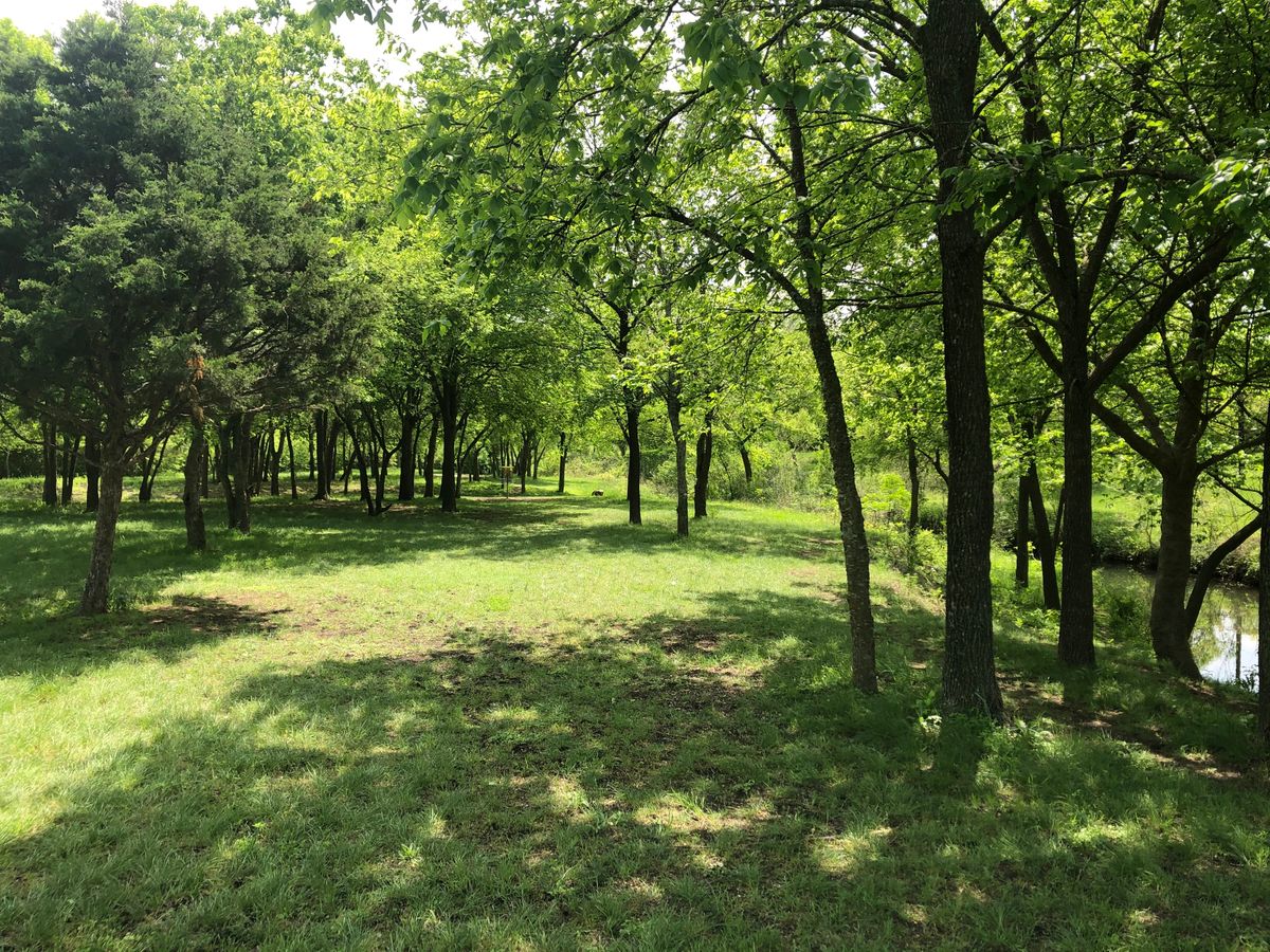 Looking at the basket tucked away on Hole 5.