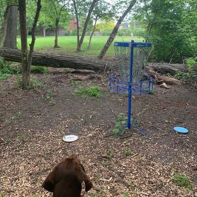 Gus checking out #1