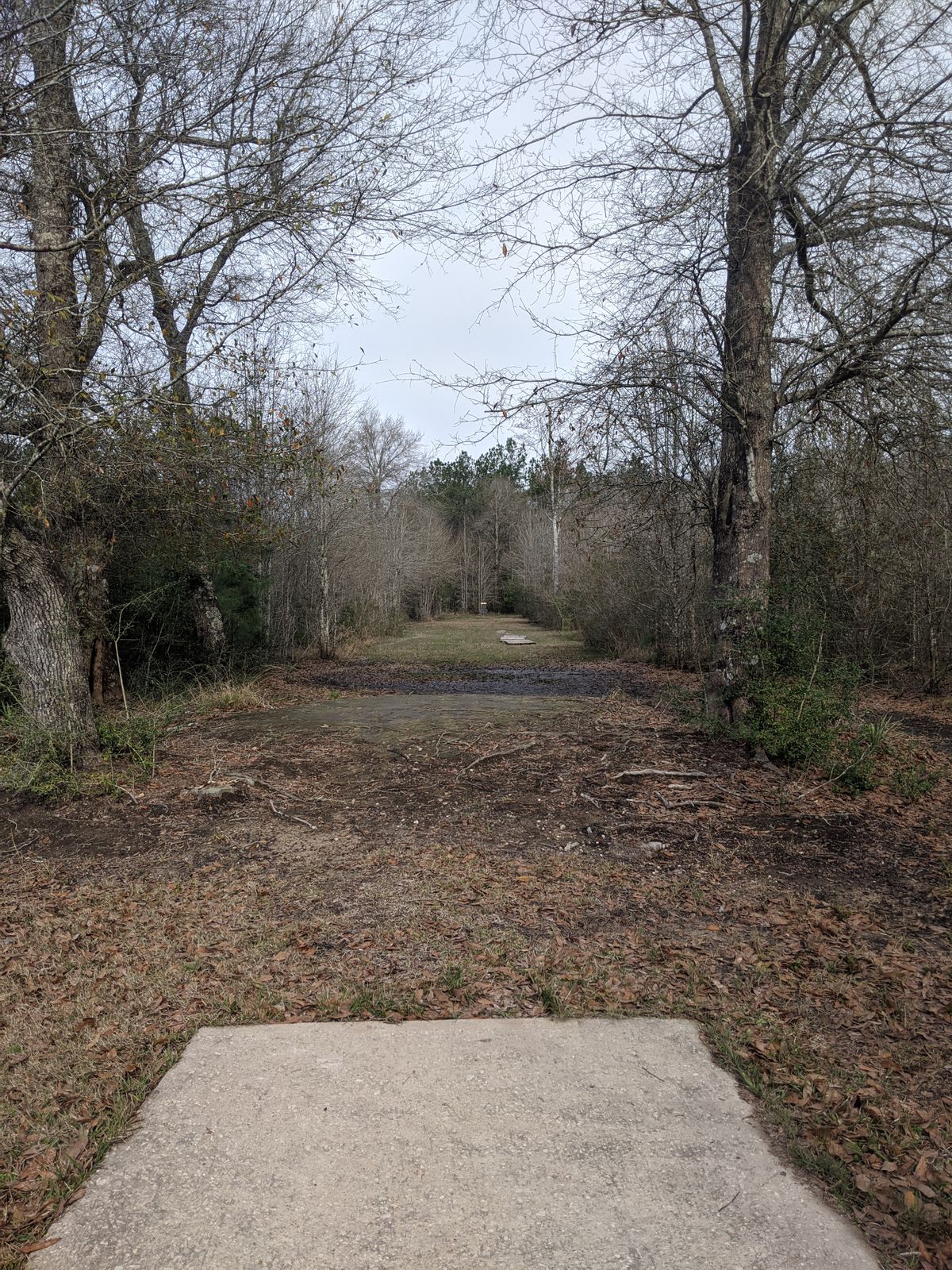 Hole 3 Tee