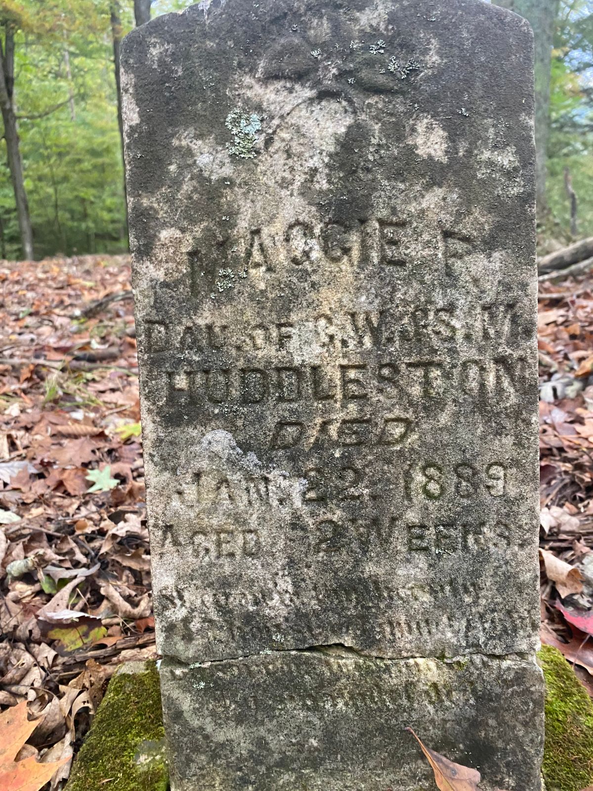 Some grave stone near a tee box in the woods.