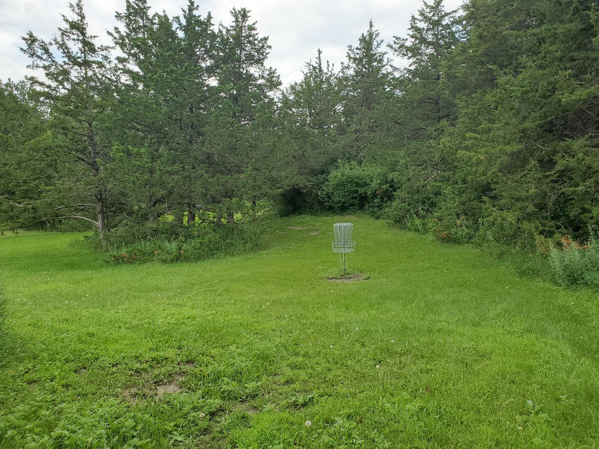 Hole 8 backside of the basket.