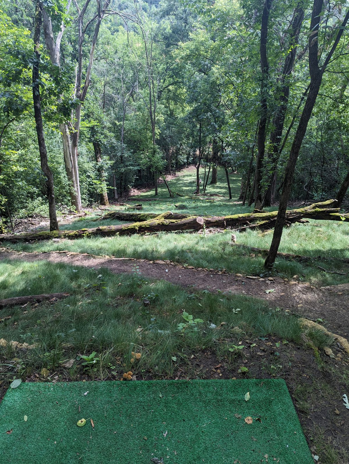 What an amazing course! Love it!