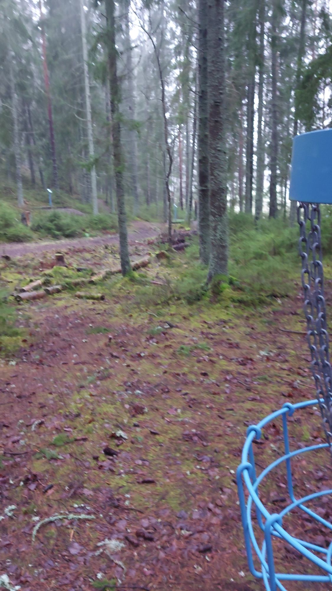 Väylän 8 kori ja sen ja väylän 7 teet