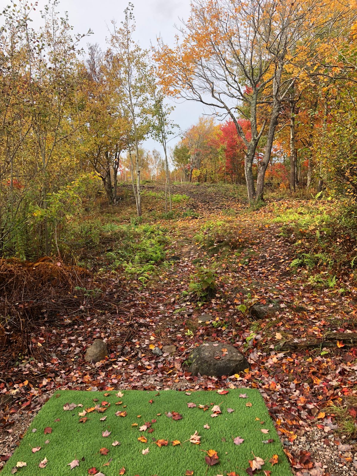 Hole 13 tee oct 20 21