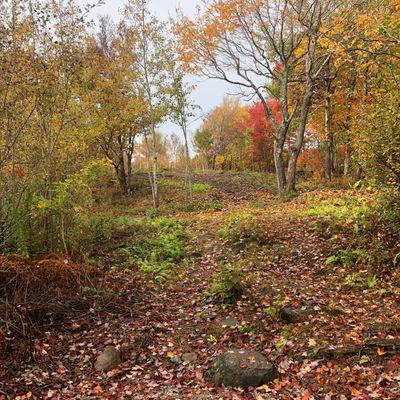 Hole 13 tee oct 20 21
