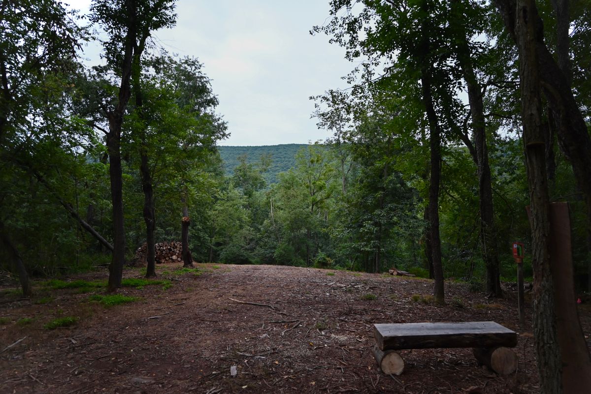 Hole 14's view