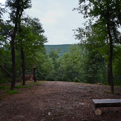 Hole 14's view
