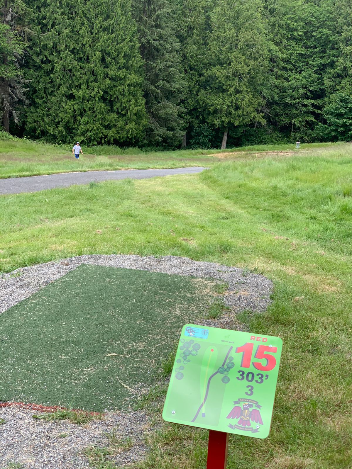 This is a beautiful down hill very possible ace hole. The basket sits just behind the old sand trap.