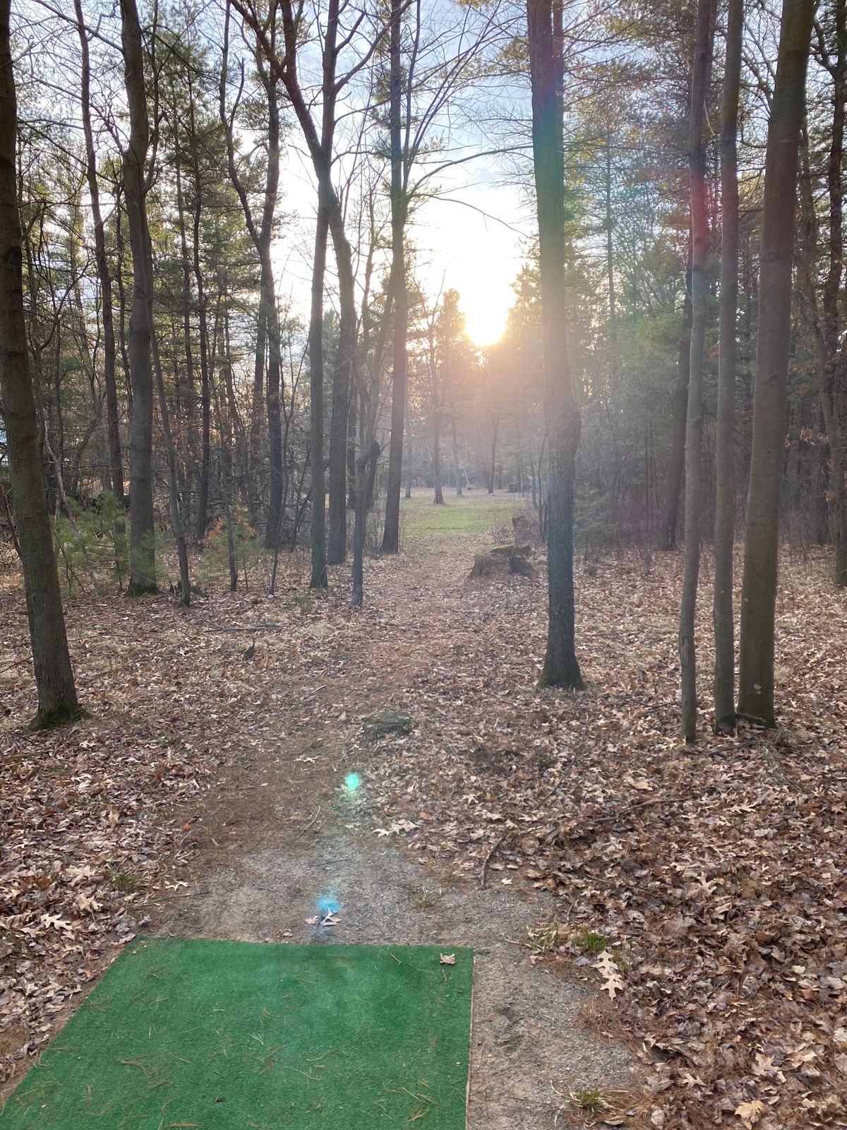 Hole 15