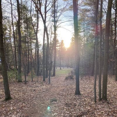 Hole 15