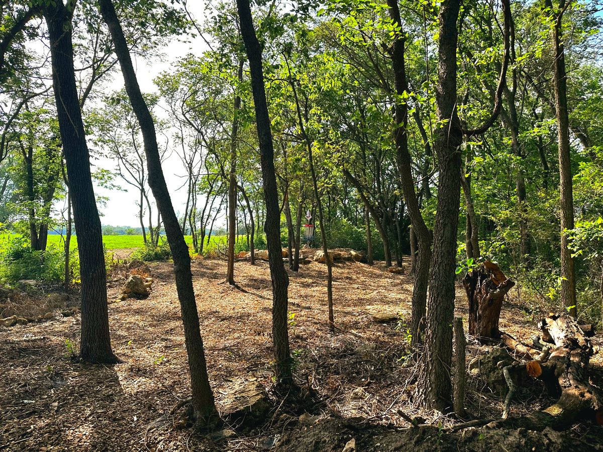 Hole 15: Nature's Revenge fairway