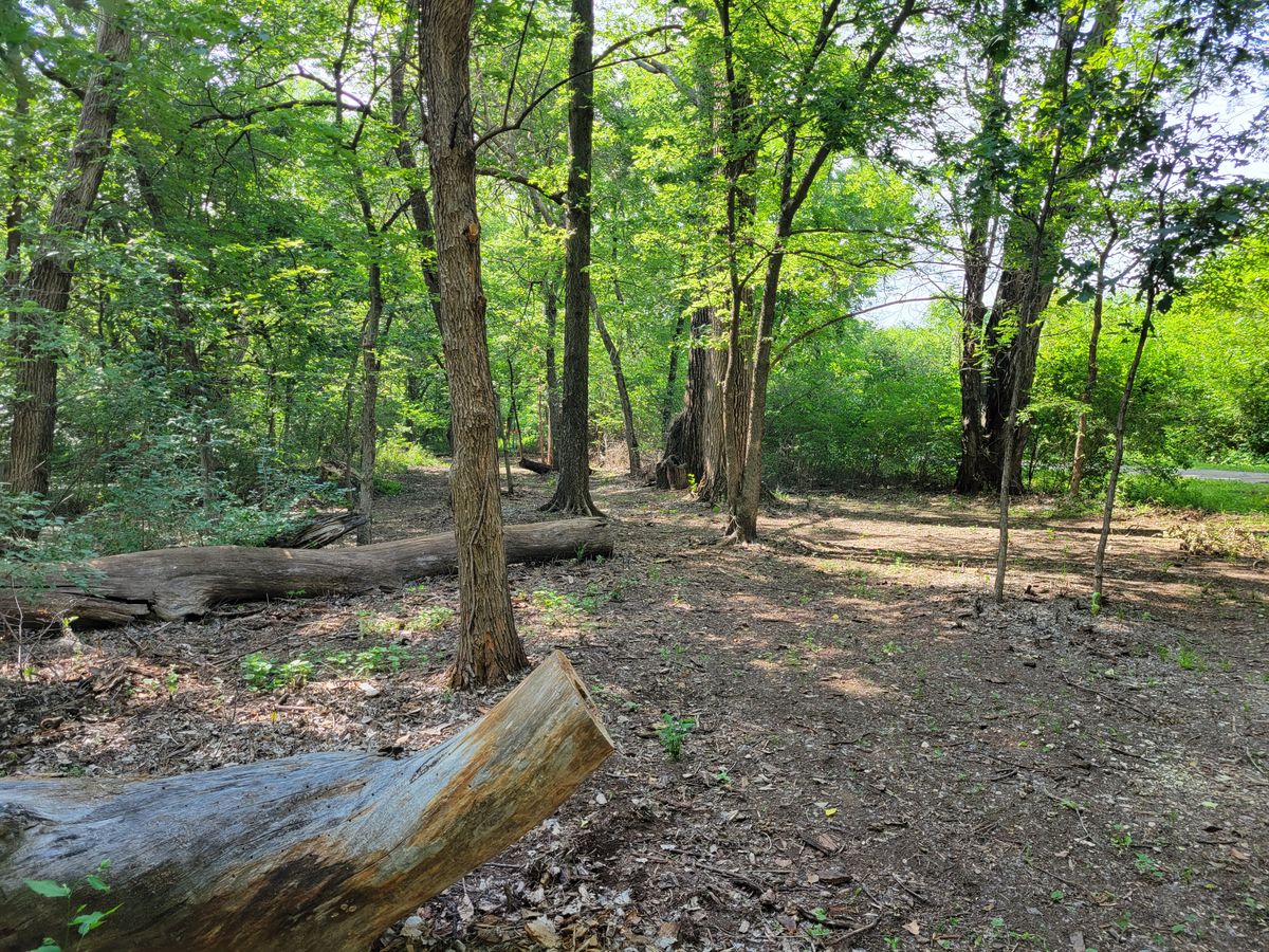 Hole 10: Log Jam fairway