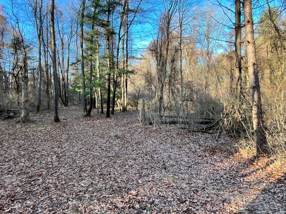 Hole 6